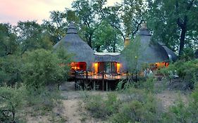 Hoyo Hoyo Safari Lodge